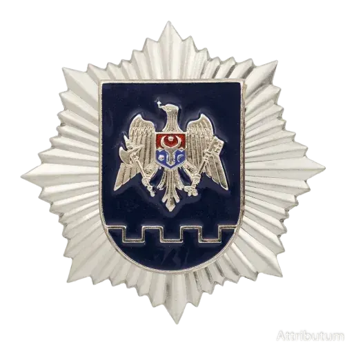 Customs Service Cockade