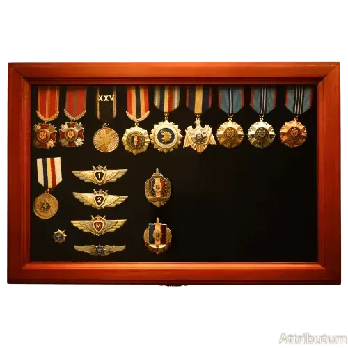 Ministry of Internal Affairs Awards